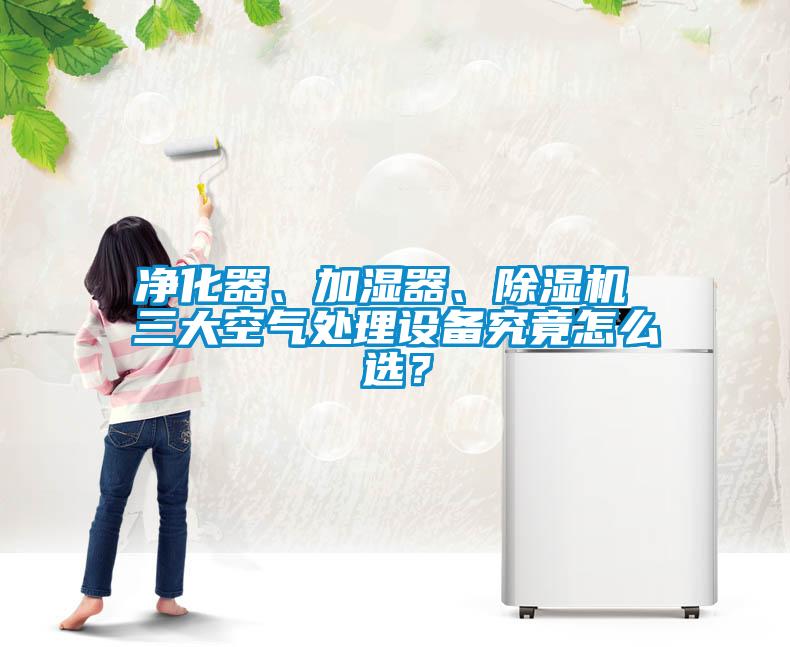 凈化器、加濕器、除濕機(jī) 三大空氣處理設(shè)備究竟怎么選？