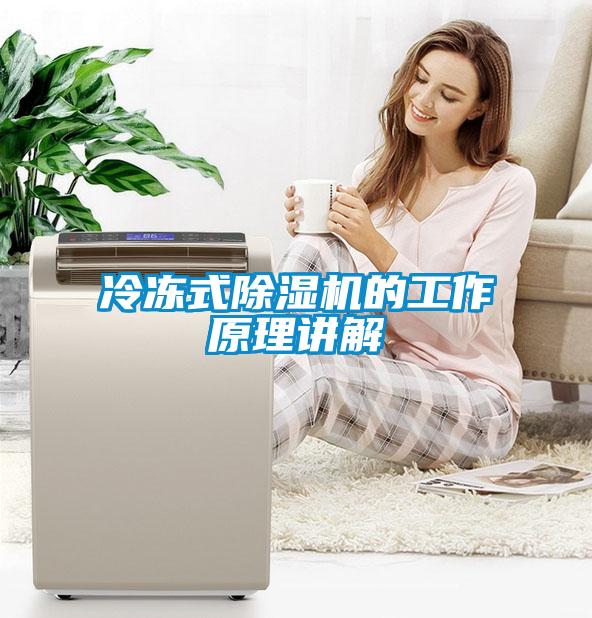 冷凍式除濕機(jī)的工作原理講解