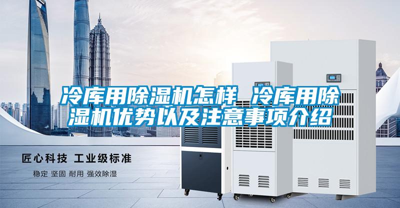 冷庫用除濕機怎樣 冷庫用除濕機優勢以及注意事項介紹