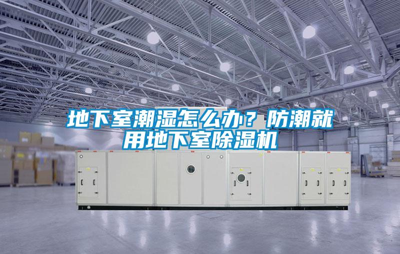 地下室潮濕怎么辦？防潮就用地下室除濕機