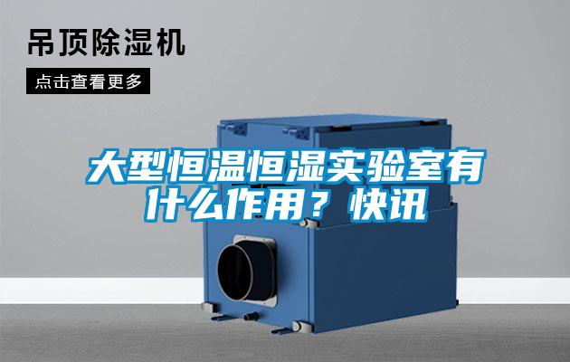 大型恒溫恒濕實驗室有什么作用？快訊