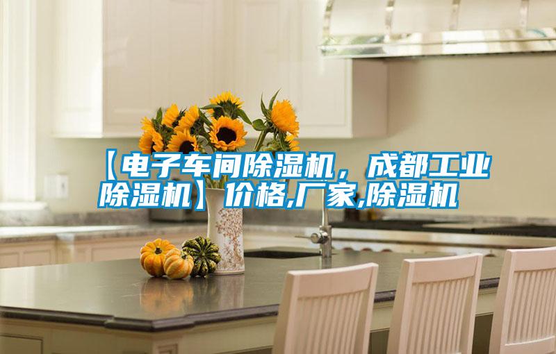 【電子車(chē)間除濕機(jī)，成都工業(yè)除濕機(jī)】?jī)r(jià)格,廠家,除濕機(jī)