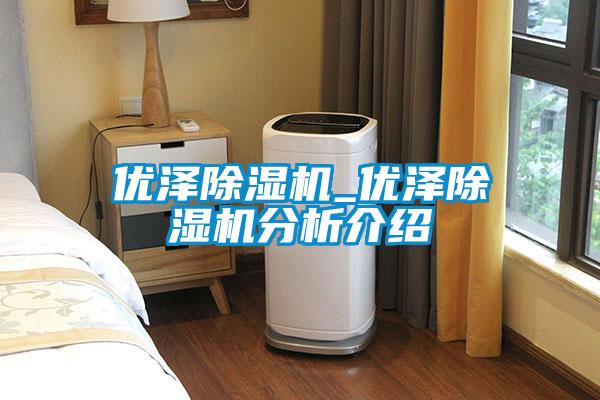 優澤除濕機_優澤除濕機分析介紹