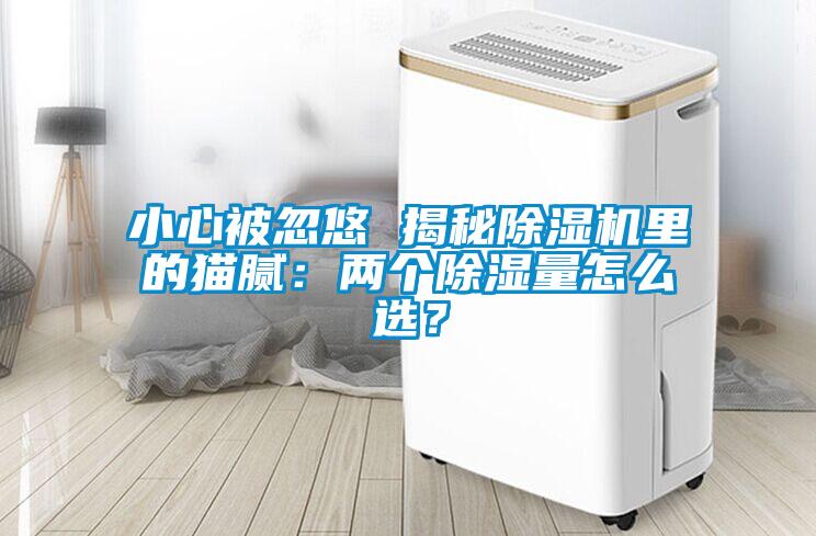 小心被忽悠 揭秘除濕機(jī)里的貓膩：兩個(gè)除濕量怎么選？