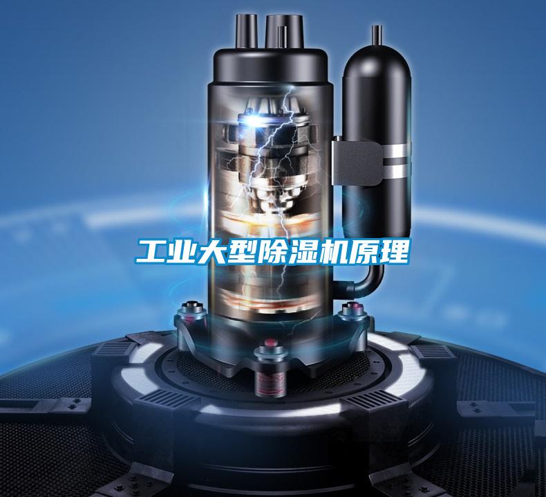 工業大型除濕機原理