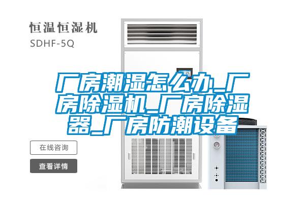廠房潮濕怎么辦_廠房除濕機_廠房除濕器_廠房防潮設備