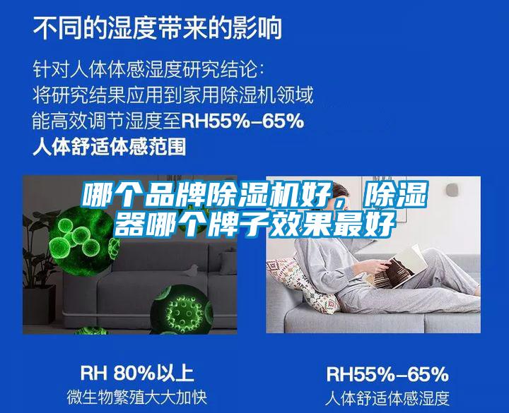 哪個品牌除濕機好，除濕器哪個牌子效果最好