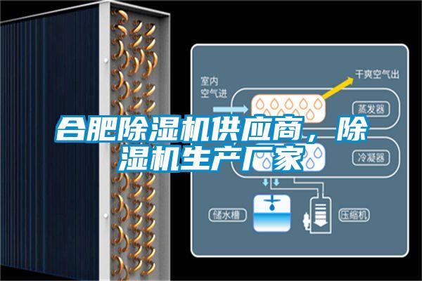 合肥除濕機供應商，除濕機生產廠家