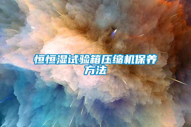 恒恒濕試驗(yàn)箱壓縮機(jī)保養(yǎng)方法