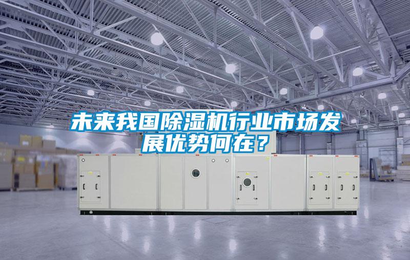 未來我國除濕機(jī)行業(yè)市場發(fā)展優(yōu)勢何在？