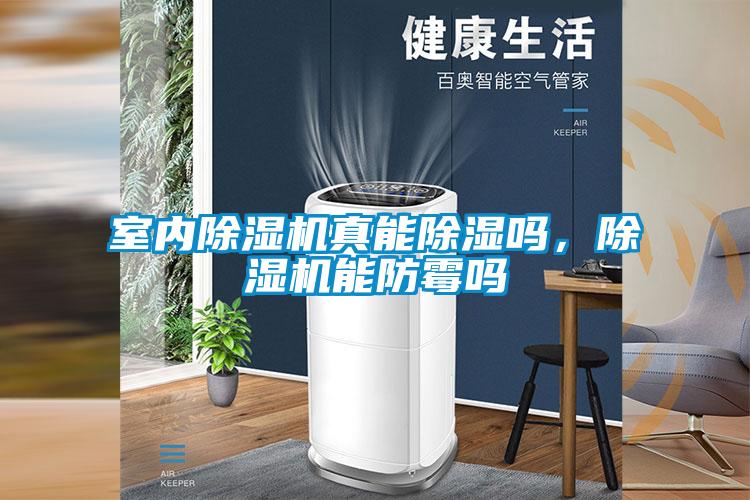 室內(nèi)除濕機(jī)真能除濕嗎，除濕機(jī)能防霉嗎