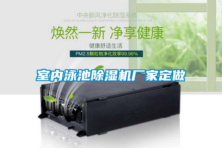 室內泳池除濕機廠家定做