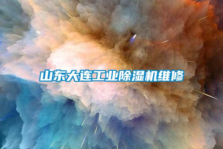 山東大連工業(yè)除濕機(jī)維修