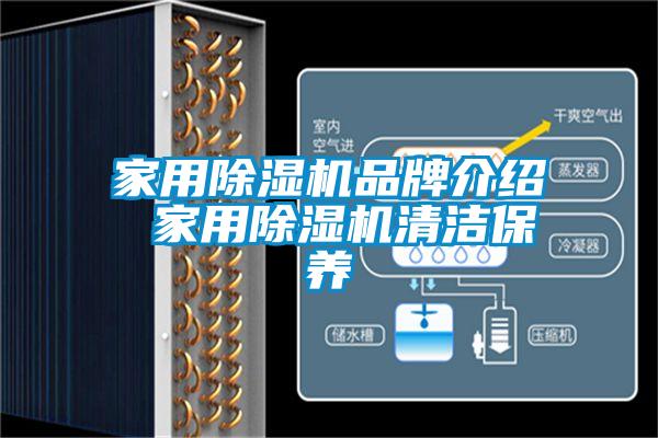 家用除濕機品牌介紹 家用除濕機清潔保養