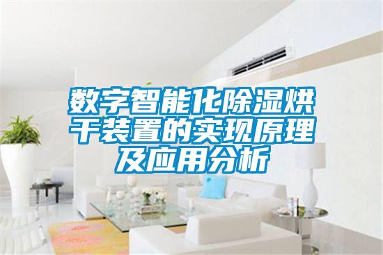 數(shù)字智能化除濕烘干裝置的實現(xiàn)原理及應(yīng)用分析