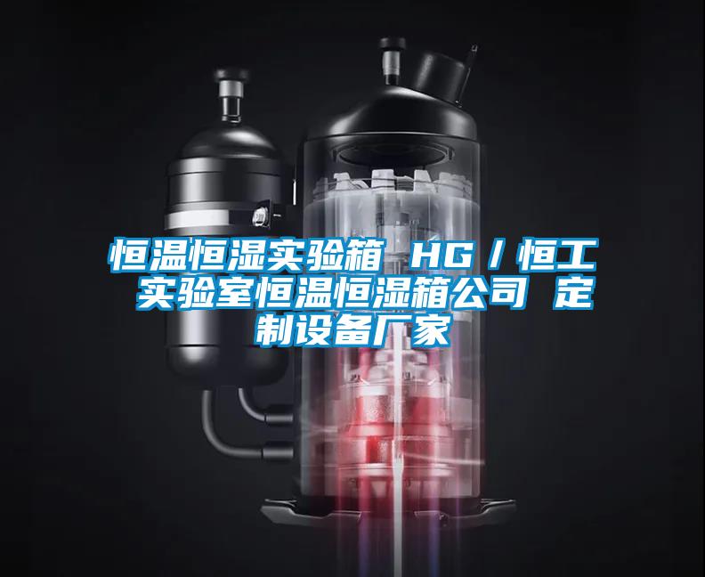 恒溫恒濕實驗箱 HG／恒工 實驗室恒溫恒濕箱公司 定制設備廠家