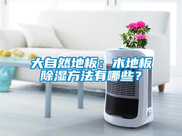 大自然地板：木地板除濕方法有哪些？