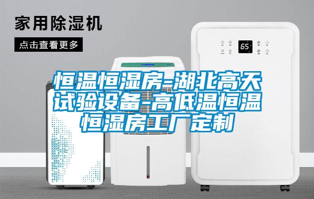 恒溫恒濕房-湖北高天試驗(yàn)設(shè)備-高低溫恒溫恒濕房工廠定制