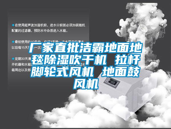 廠家直批潔霸地面地毯除濕吹干機 拉桿腳輪式風機 地面鼓風機