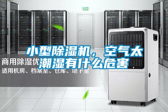 小型除濕機(jī)，空氣太潮濕有什么危害