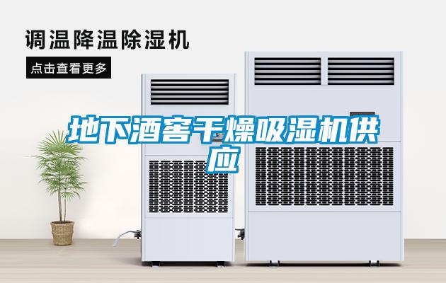 地下酒窖干燥吸濕機(jī)供應(yīng)