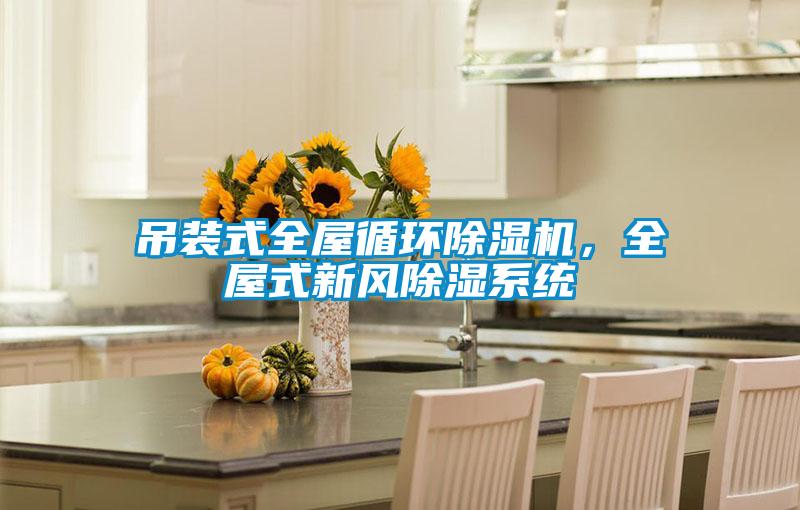 吊裝式全屋循環除濕機，全屋式新風除濕系統