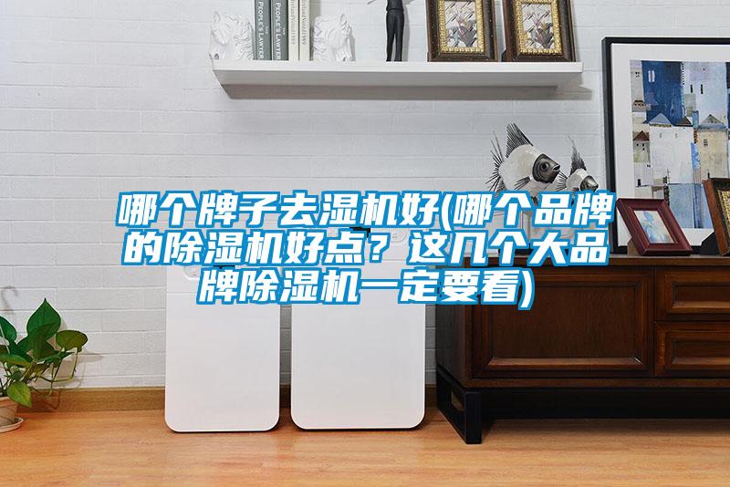 哪個(gè)牌子去濕機(jī)好(哪個(gè)品牌的除濕機(jī)好點(diǎn)？這幾個(gè)大品牌除濕機(jī)一定要看)