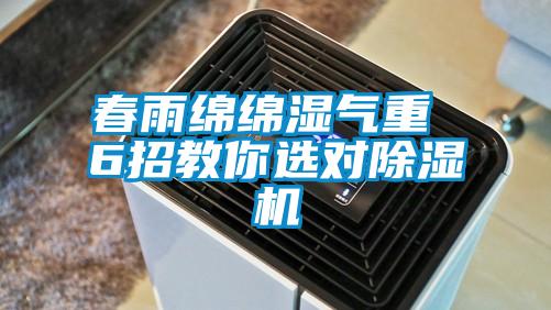 春雨綿綿濕氣重 6招教你選對除濕機