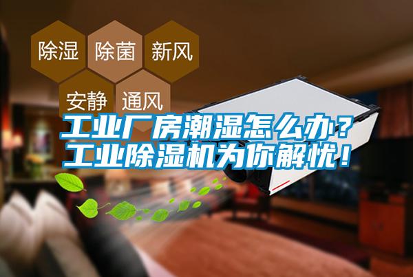 工業(yè)廠房潮濕怎么辦？工業(yè)除濕機為你解憂！