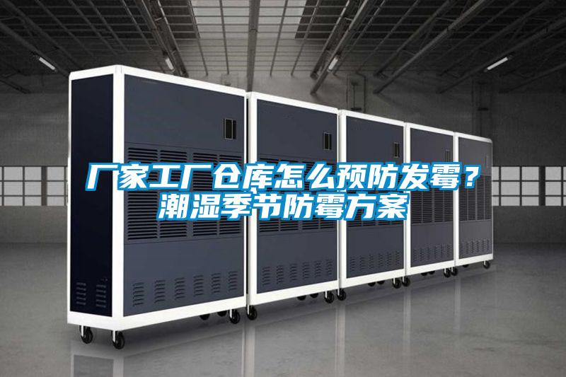 廠家工廠倉庫怎么預防發霉？潮濕季節防霉方案