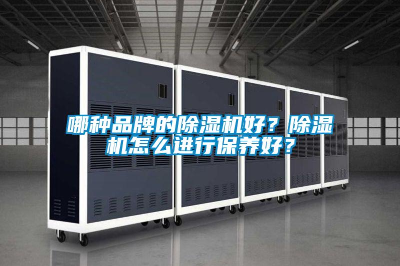 哪種品牌的除濕機好？除濕機怎么進行保養好？