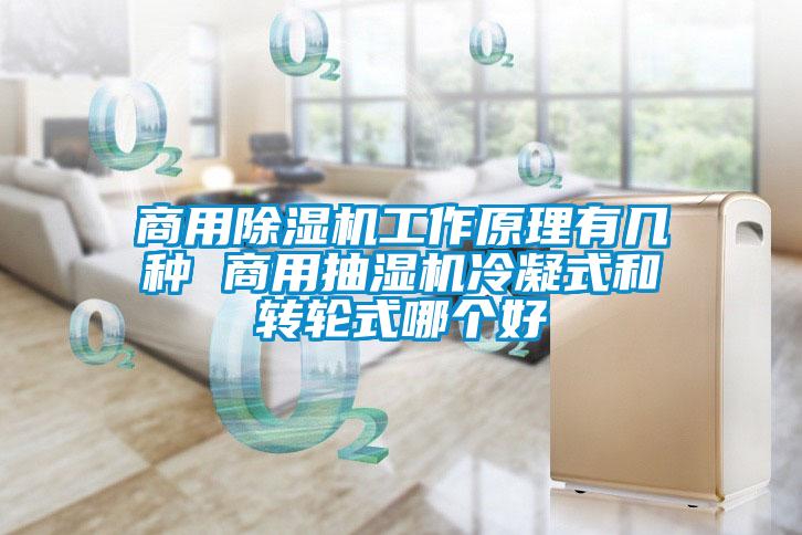 商用除濕機(jī)工作原理有幾種 商用抽濕機(jī)冷凝式和轉(zhuǎn)輪式哪個好