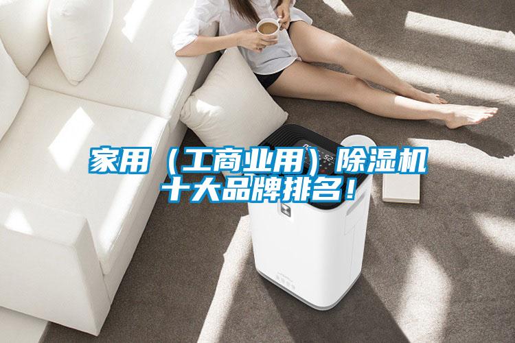 家用（工商業用）除濕機十大品牌排名！