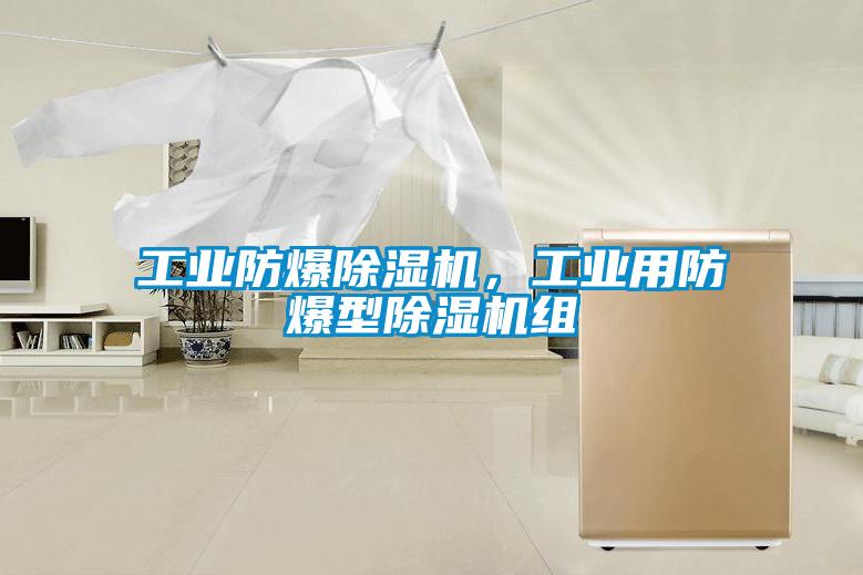 工業(yè)防爆除濕機(jī)，工業(yè)用防爆型除濕機(jī)組
