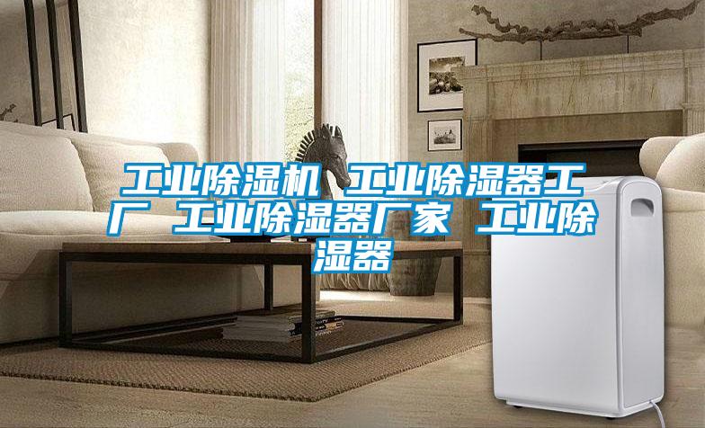工業除濕機 工業除濕器工廠 工業除濕器廠家 工業除濕器