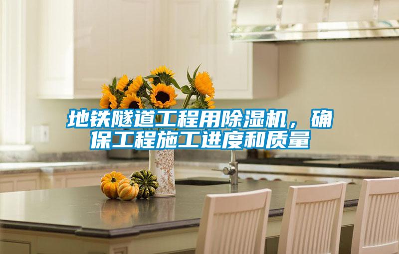 地鐵隧道工程用除濕機，確保工程施工進度和質量