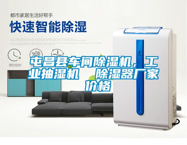 屯昌縣車(chē)間除濕機(jī)，工業(yè)抽濕機(jī)  除濕器廠家 價(jià)格