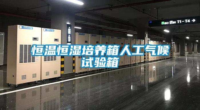 恒溫恒濕培養(yǎng)箱人工氣候試驗箱