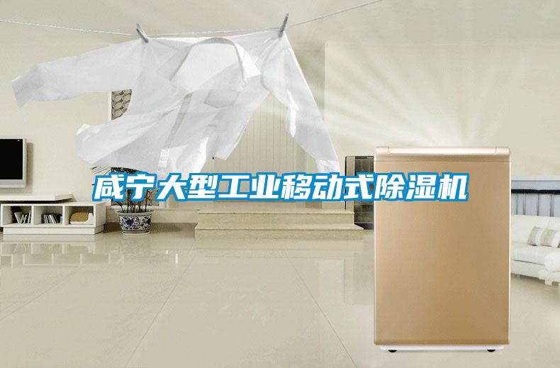 咸寧大型工業移動式除濕機