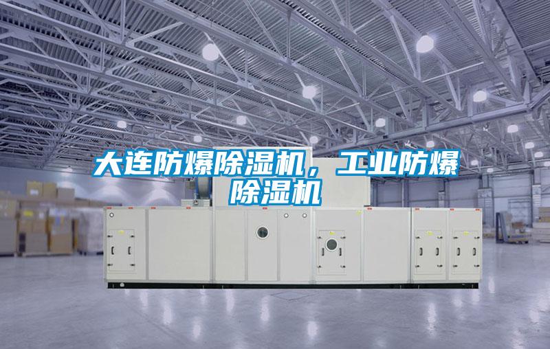 大連防爆除濕機，工業防爆除濕機