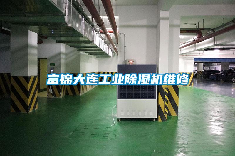 富錦大連工業(yè)除濕機維修