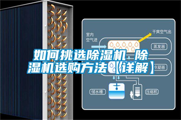 如何挑選除濕機 除濕機選購方法【詳解】