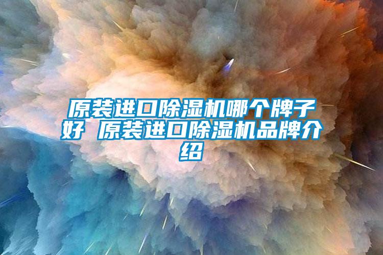 原裝進口除濕機哪個牌子好 原裝進口除濕機品牌介紹