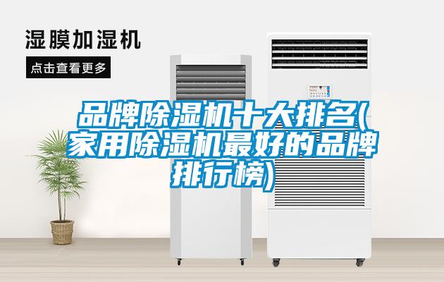 品牌除濕機十大排名(家用除濕機最好的品牌排行榜)