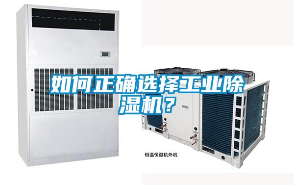 如何正確選擇工業除濕機？