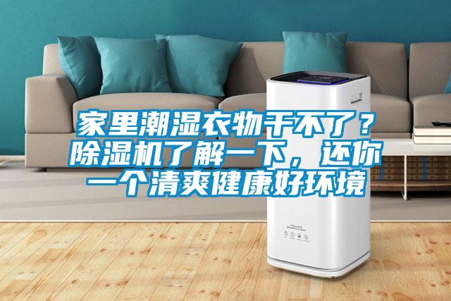 家里潮濕衣物干不了？除濕機了解一下，還你一個清爽健康好環境