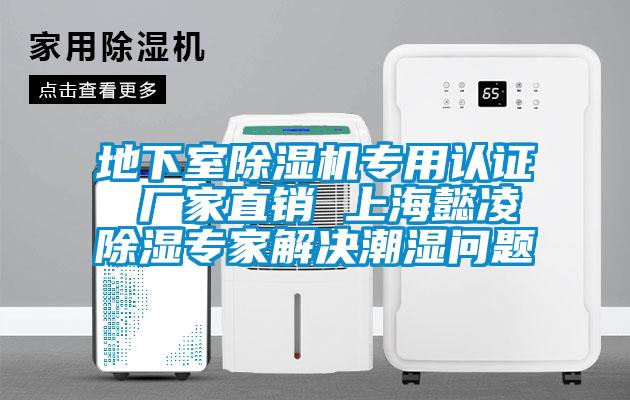 地下室除濕機(jī)專(zhuān)用認(rèn)證 廠家直銷(xiāo) 上海懿凌除濕專(zhuān)家解決潮濕問(wèn)題
