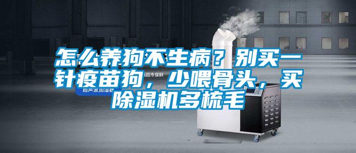 怎么養(yǎng)狗不生病？別買一針疫苗狗，少喂骨頭，買除濕機多梳毛