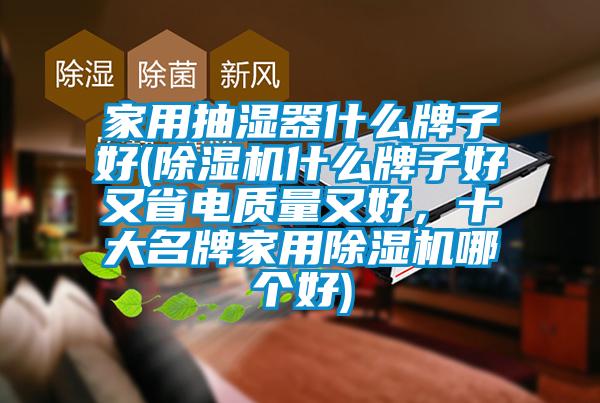 家用抽濕器什么牌子好(除濕機什么牌子好又省電質量又好，十大名牌家用除濕機哪個好)