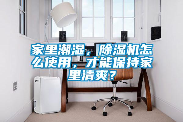 家里潮濕，除濕機怎么使用，才能保持家里清爽？